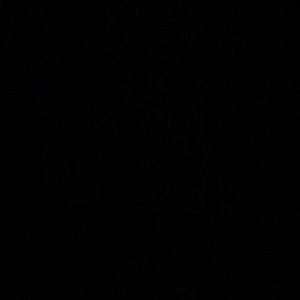 Meet your Posher, Kylee